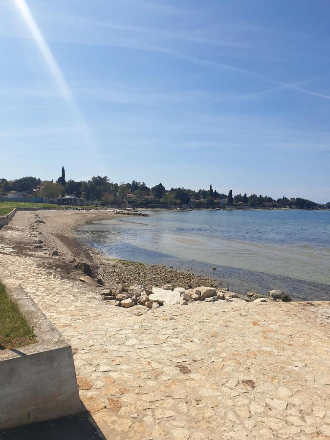 Alice Novigrad (Istria)
