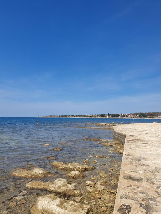 Alice Apartment Novigrad (Istria)