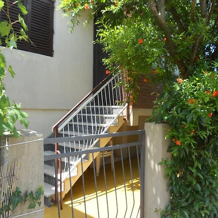 Apartment Alice Novigrad Istria Exterior foto