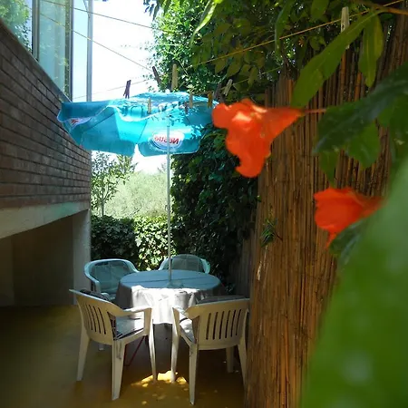 Apartment Alice Novigrad Istria Exterior foto