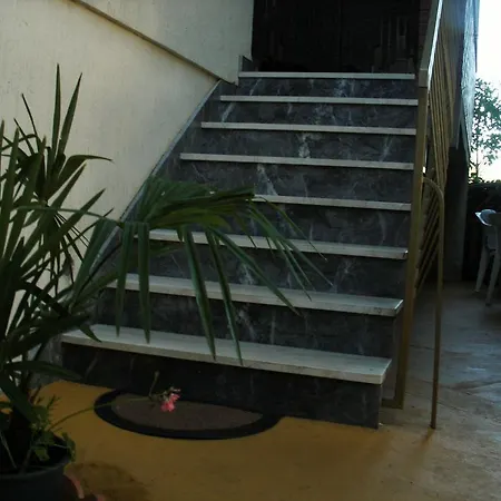Apartment Alice Novigrad Istria Exterior foto